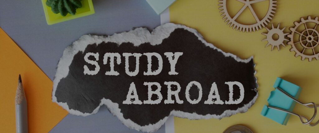 phd-abroad-choosing-your-path-stem-vs-non-stem