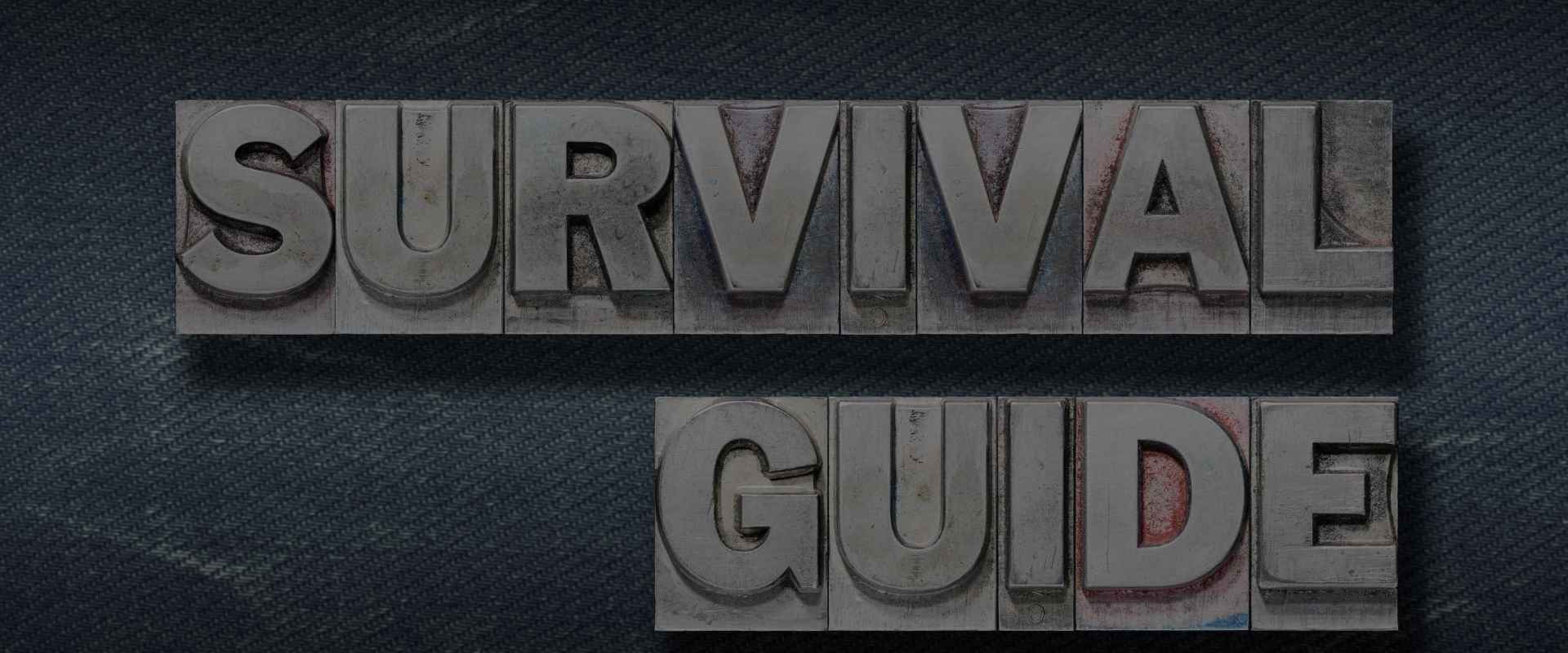 How Cold Are Winters in Nordic Countries? Study & Survival Guide