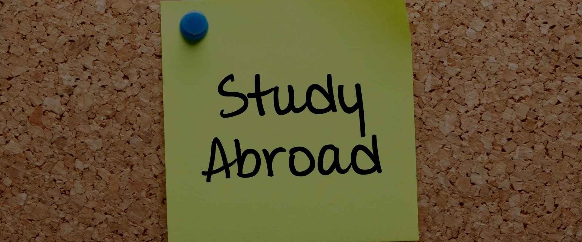 Study Abroad: Dive Deep with Themed Programs