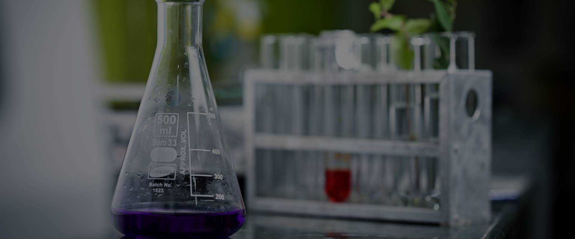 Top 8 Biological Research Programs in Sweden