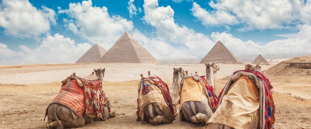 Are you a  Cairo-based Student or Professional planning to Study Abroad? 