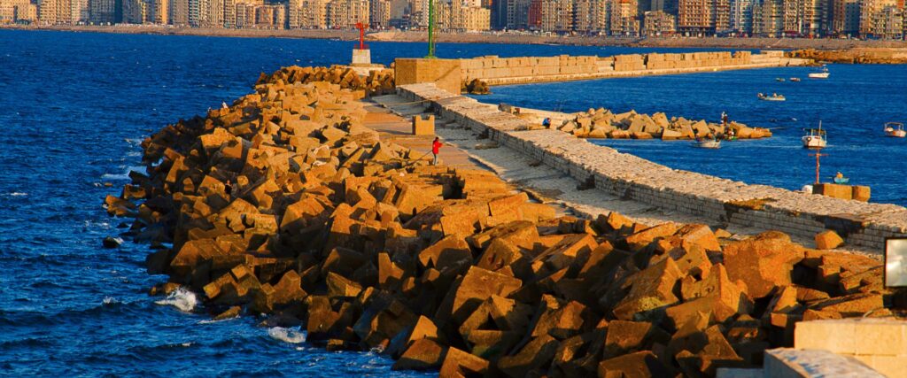 4 (31) Our comprehensive services include: