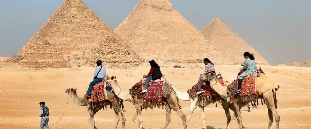 Our comprehensive services include: