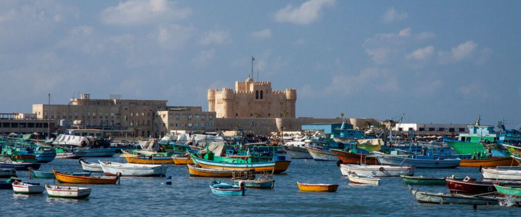 5 (31) Our comprehensive services include: